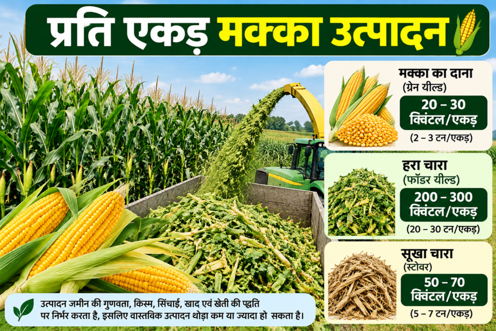 प्रति एकड़ मक्का उत्पादन